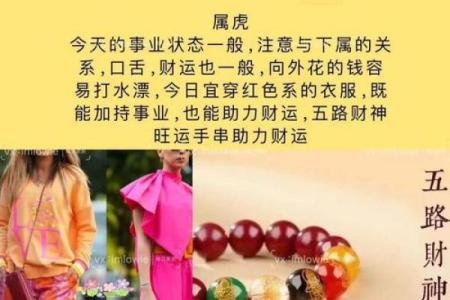 2022年11月8日五行属什么生肖穿衣旺运，3分钟速成