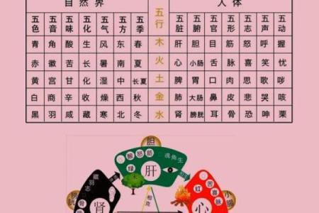 今日五行穿衣颜色搭配吉凶查询，全解析