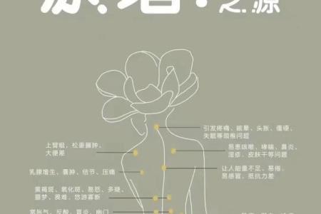 2023年2月9日五行穿衣指南今日幸运色推荐，全解析