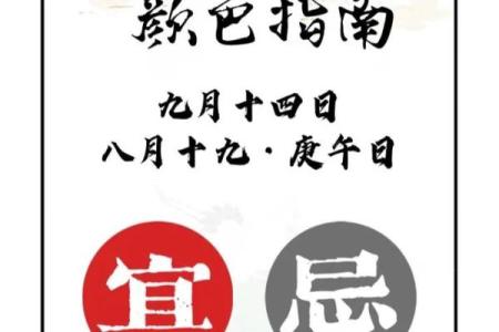 2022年5月19日五行穿衣颜色搭配指南（网易网最新版），独家秘籍