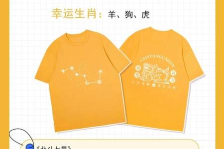 2021年4月11日五行属什么生肖穿衣旺运指南，3分钟速成