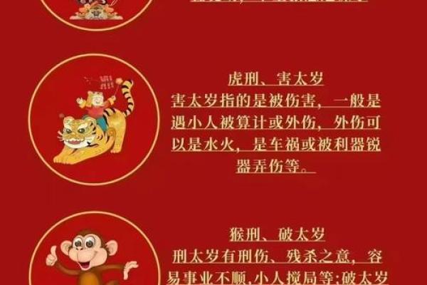 2024年哪些生肖犯太岁不宜扫墓祭祖需特别注意