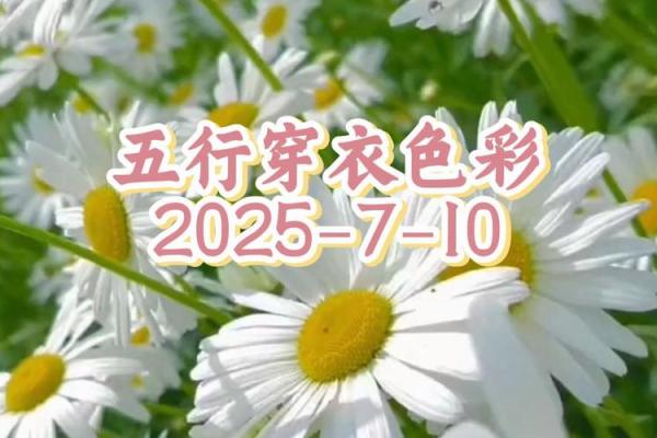 每日五行穿衣颜色2025年12月7日赶紧进来看看 每日五行穿衣颜色2025年12月7日赶紧进来看看