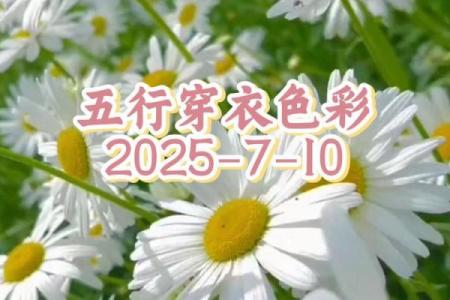 每日五行穿衣颜色2025年12月7日赶紧进来看看