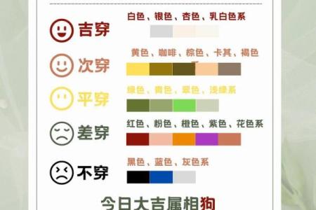 五行穿衣今日颜色2025年11月13日一分钟学会