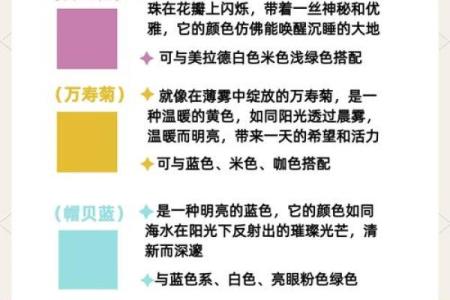 每日五行穿衣颜色2025年12月24日新手小白一定要懂