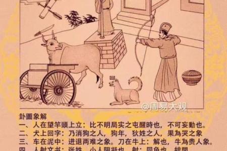 每日穿衣搭配五行2025年12月19日详细全过程图解