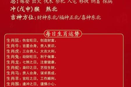 每日穿衣五行颜色2025年10月19日详细全过程图解