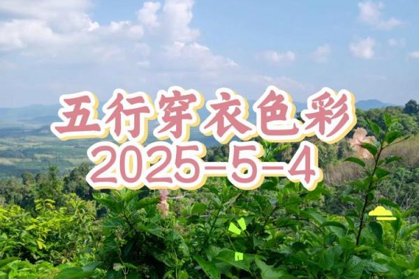 五行穿衣指南2022年5月4日 2022年5月4日五行穿衣旺运颜色 五行穿衣指南2022年5月4日 2022年5月4日五行穿衣旺运颜色