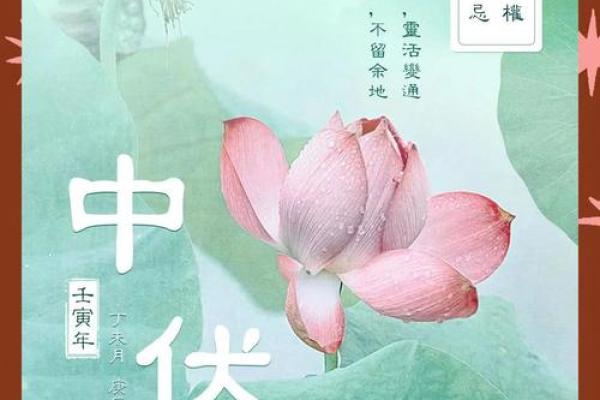 五行穿衣2022年7月4日网易 2022年7月4日五行穿衣指南 五行穿衣2022年7月4日网易 2022年7月4日五行穿衣指南