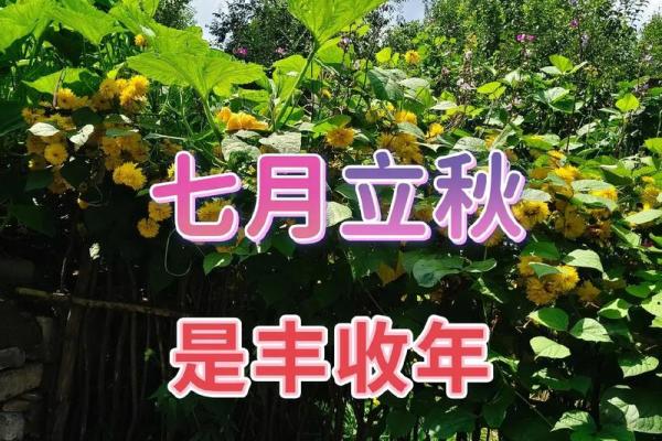 2023年立秋具体时间是在几点几分开始？