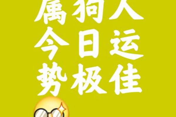 2006年属狗的人在2025年高考运势如何,能考上理想大学吗 2006年属狗的人在2025年高考运势如何,能考上理想大学吗