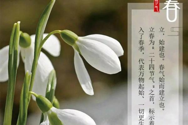 2019年立春的准确时间是什么时候?需要具体到分钟 2019年立春的准确时间是什么时候?需要具体到分钟