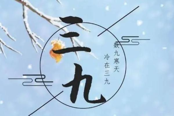 2019年数九从哪天开始到哪天结束，全解析