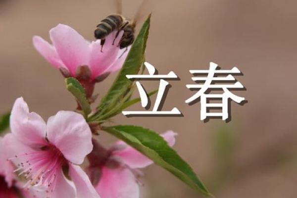 2021年立春具体时间是几点几分，需要精确到秒吗？