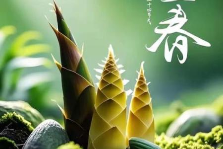 2020年打春准确时间几点？要安排迎春活动