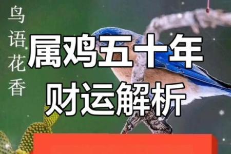 1981年属鸡43岁后十年大运详解，事业财运如何突破？