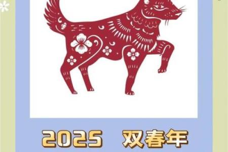 1982年出生属狗者2025年每月运势及运程完整解析