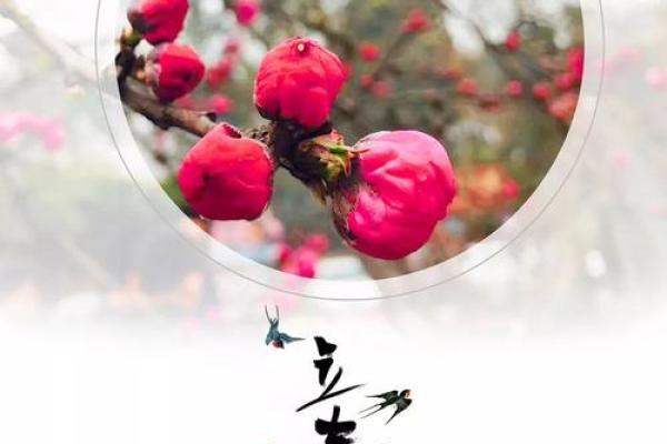 2020年立春的准确时辰是什么时候,是白天还是晚上? 2020年立春的准确时辰是什么时候,是白天还是晚上?