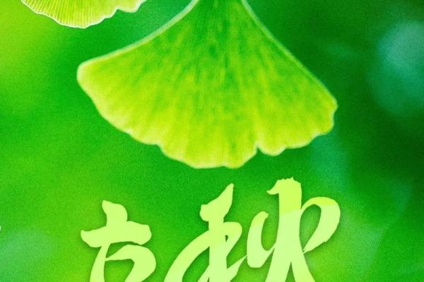 2024年立秋节气精确到分钟的时间查询,小白也能学会 2024年立秋节气精确到分钟的时间查询,小白也能学会