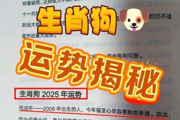 2025年属狗人全年运势完整版财运事业健康感情