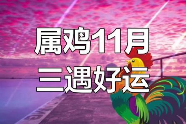 2024年属鸡人全年运势详解,财运事业健康感情完整解析 2024年属鸡人全年运势详解,财运事业健康感情完整解析