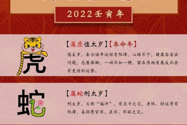 属龙人2025年全年运势详解,事业财运和健康如何避免太岁影响? 属龙人2025年全年运势详解,事业财运和健康如何避免太岁影响?