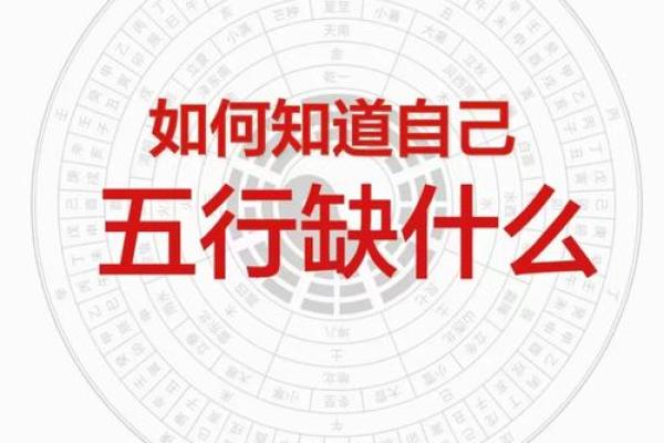 1981年出生的人一生命运如何?五行属什么缺什么? 1981年出生的人一生命运如何?五行属什么缺什么?