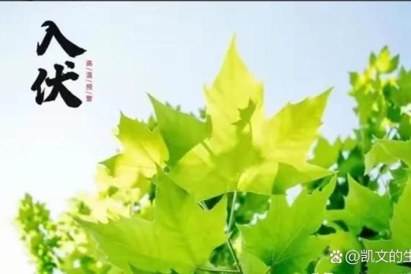 2020年头伏第一天是几月几号怎么推算? 2020年头伏第一天是几月几号怎么推算?