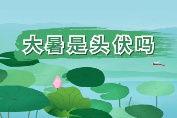 2020年头伏第一天是几月几号怎么推算? 2020年头伏第一天是几月几号怎么推算?