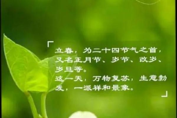 2022年立春具体时间是几点几分,今天打春准确时刻查询 2022年立春具体时间是几点几分,今天打春准确时刻查询