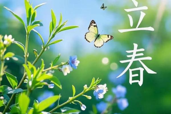 2014年立春的准确时间是什么时候,需要精确到秒吗? 2014年立春的准确时间是什么时候,需要精确到秒吗?