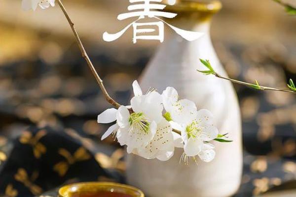 2024年打春具体时辰是几点?立春当天有哪些宜忌和习俗? 2024年打春具体时辰是几点?立春当天有哪些宜忌和习俗?