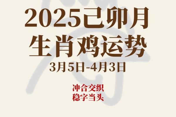 1981年出生的属鸡人在2025年蛇年感情婚姻和事业财运如何 1981年出生的属鸡人在2025年蛇年感情婚姻和事业财运如何