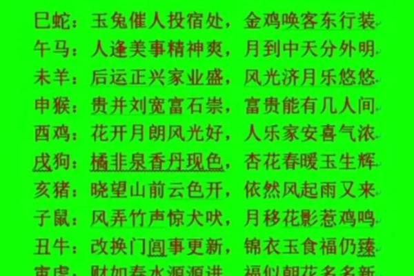 2025年属鸡人全年运势详解,蛇年运程吉凶分析及每月运势 2025年属鸡人全年运势详解,蛇年运程吉凶分析及每月运势