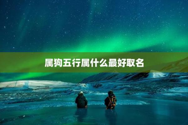 2018年出生的属狗人五行属什么命?木狗之命的性格与运势解析 2018年出生的属狗人五行属什么命?木狗之命的性格与运势解析