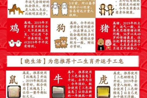 麦玲玲详解2022虎年十二生肖运势,哪个属相财运最旺事业最佳? 麦玲玲详解2022虎年十二生肖运势,哪个属相财运最旺事业最佳?