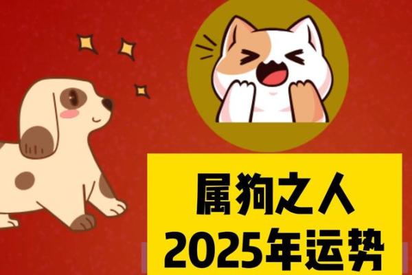 2025年属狗的人穿什么颜色衣服最能招财旺运? 2025年属狗的人穿什么颜色衣服最能招财旺运?