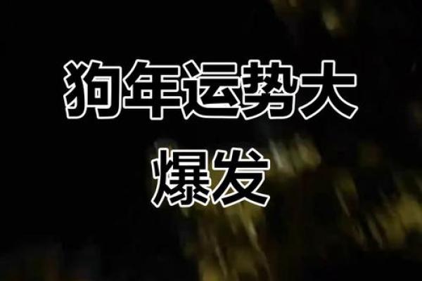 1970年属狗人在2025年三大喜事是什么,健康方面有惊喜吗? 1970年属狗人在2025年三大喜事是什么,健康方面有惊喜吗?