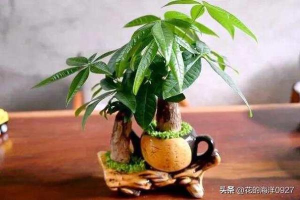 11月份装修选哪天最吉利?着三个日子风水好又旺财运 11月份装修选哪天最吉利?着三个日子风水好又旺财运