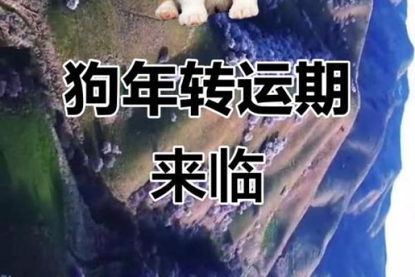 70年属狗的人2025年运势如何,会有哪三件大喜事降临? 70年属狗的人2025年运势如何,会有哪三件大喜事降临?