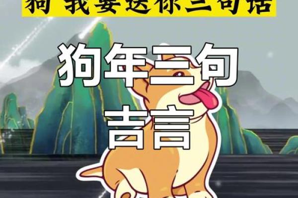 属狗的人今天财运怎么样有没有好的投资机会 属狗的人今天财运怎么样有没有好的投资机会