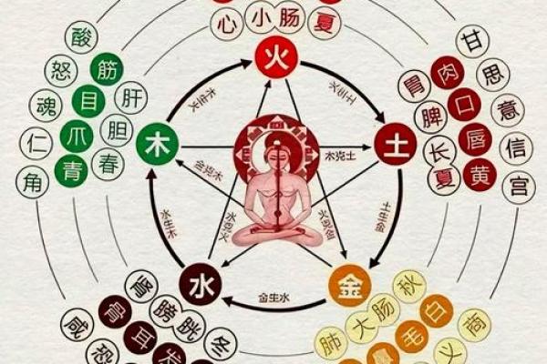 阴阳二分打一生肖 阴阳二分法对应生肖查询 阴阳二分打一生肖 阴阳二分法对应生肖查询