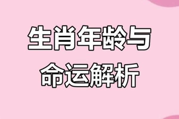 1958年出生的属狗人平均寿命和健康运势解析 1958年出生的属狗人平均寿命和健康运势解析