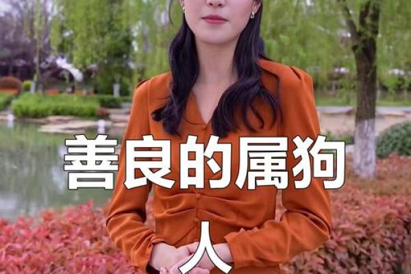 1958年出生的属狗人平均寿命和健康运势解析 1958年出生的属狗人平均寿命和健康运势解析