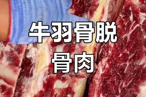 骨肉私情”代表什么生肖 骨肉私情指什么动物生肖 骨肉私情”代表什么生肖 骨肉私情指什么动物生肖