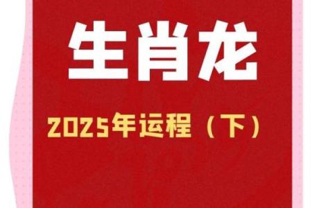 2025年属龙人将面临哪些重大挑战和化解方法？