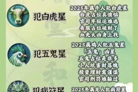 属狗的人2023年犯太岁需要注意哪些事项和化解方法？