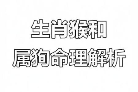 1982年1月属相是狗年还是鸡年？月份交界与生肖划分标准说明