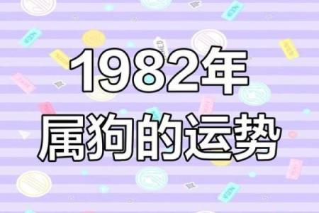 1982年属狗2025年每月运势完整版详解及得把眼睛擦亮了